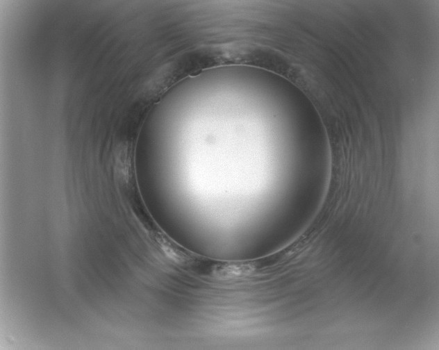 X0000061750129200512161727