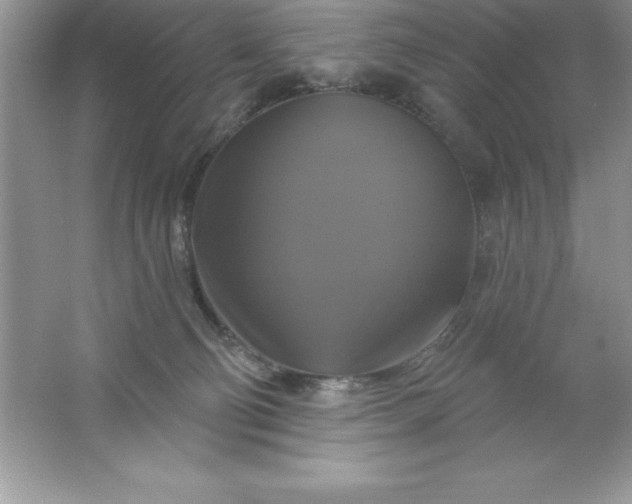 X0000061750130200512161727