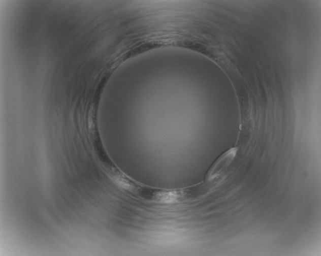 X0000061750131200512161727