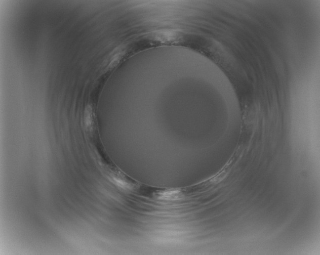 X0000061750132200512161727