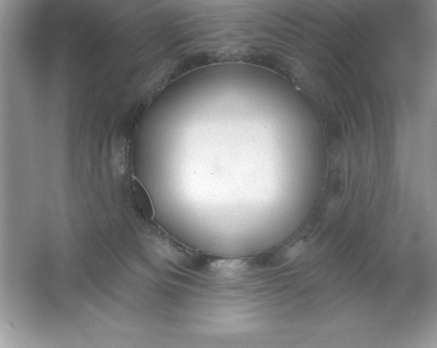 X0000061750133200512161727