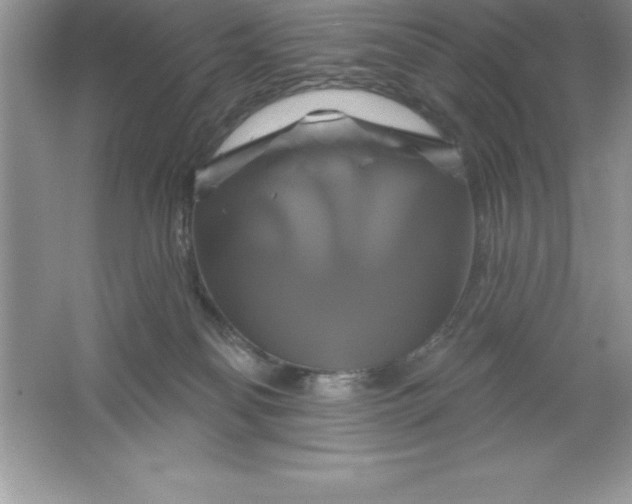 X0000061750134200512161727