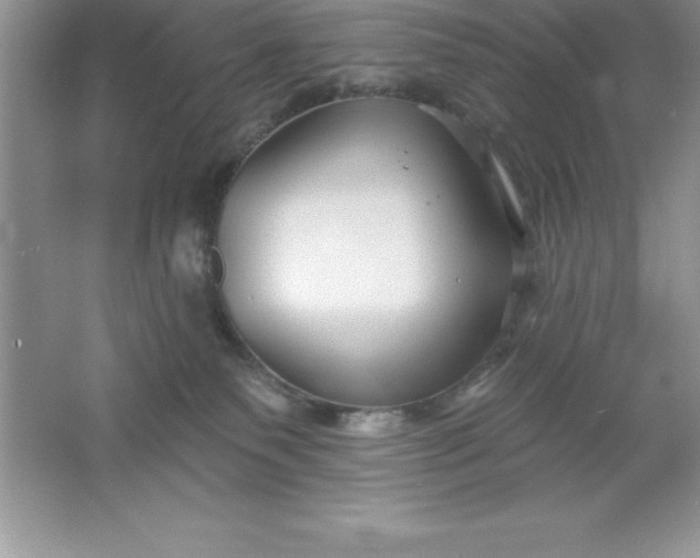 X0000061750135200512161727