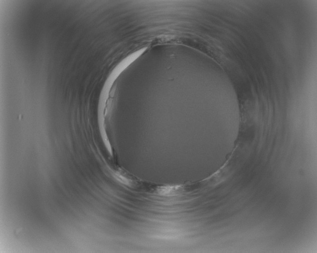 X0000061750136200512161727