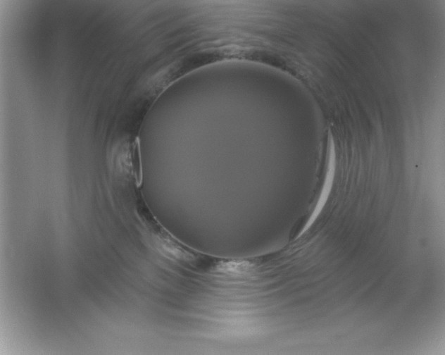 X0000061750137200512161727