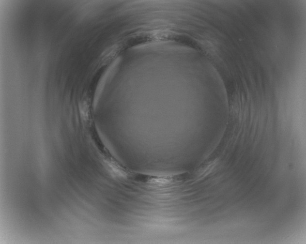 X0000061750139200512161727