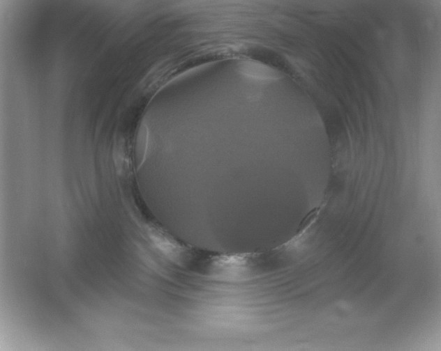 X0000061750140200512161727