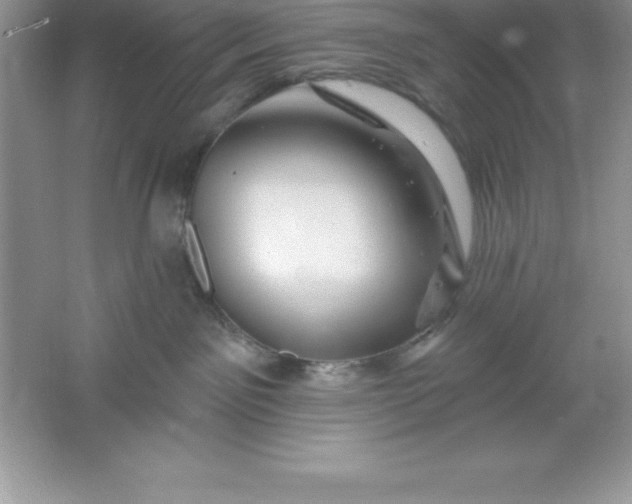 X0000061750141200512161727