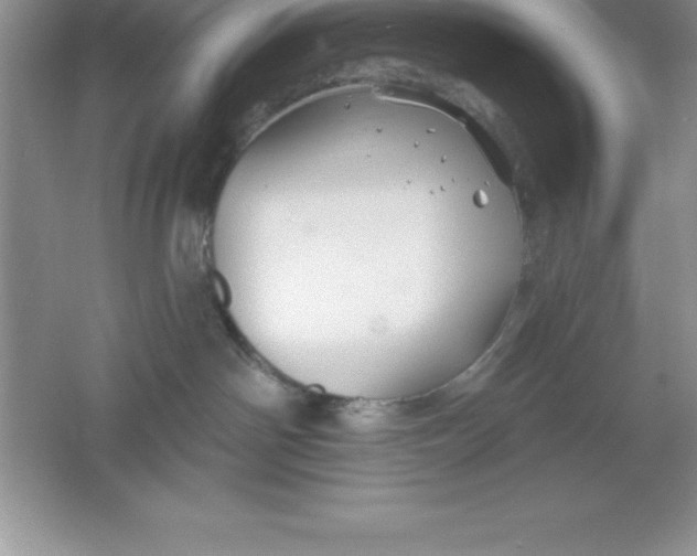 X0000061750142200512161727