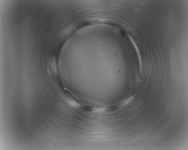 X0000061750143200512161727