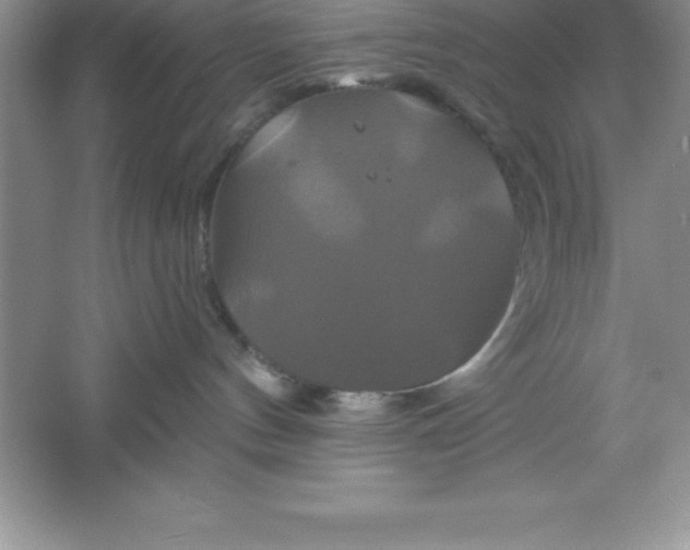 X0000061750144200512161727