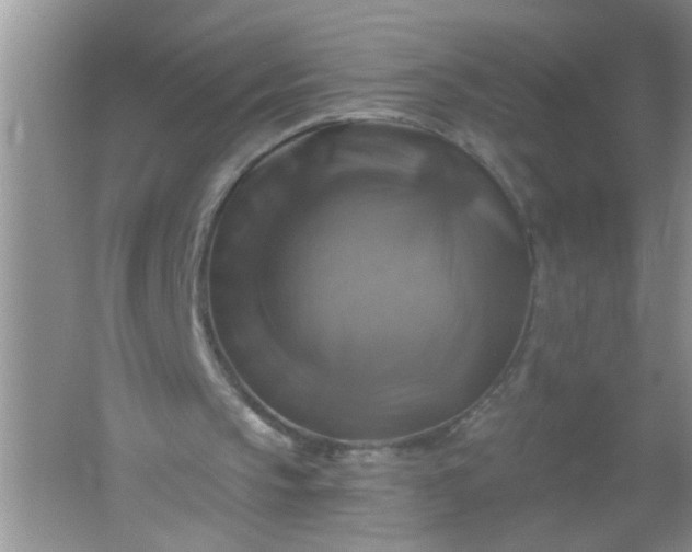 X0000061750145200512161726