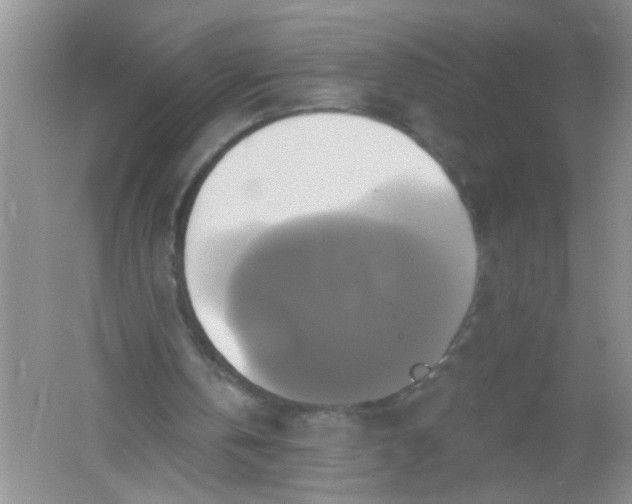 X0000061750146200512161726