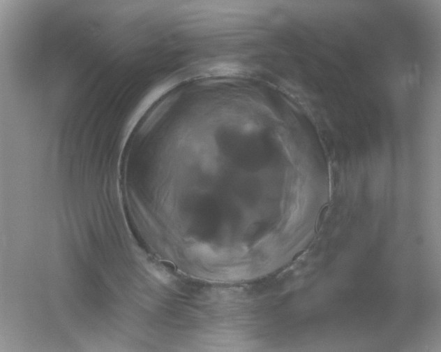 X0000061750147200512161726