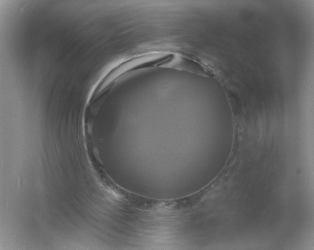 X0000061750148200512161726