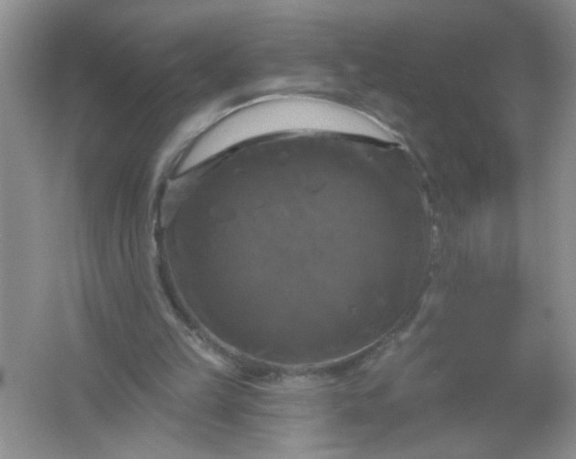 X0000061750149200512161726