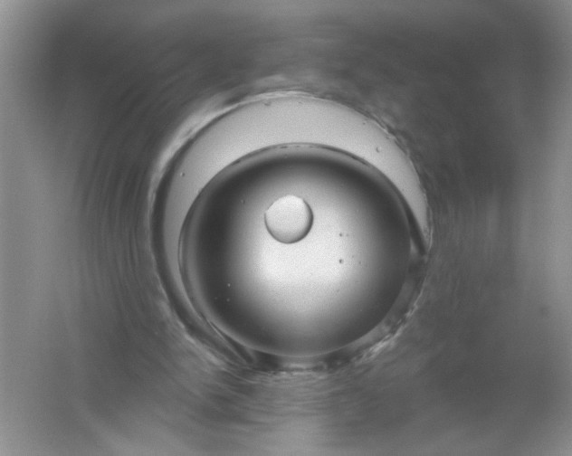 X0000061750150200512161726