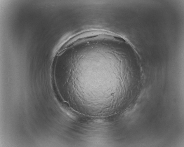 X0000061750151200512161726