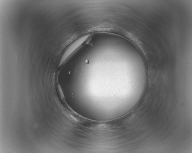 X0000061750153200512161726