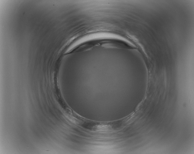 X0000061750154200512161726