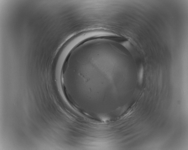 X0000061750156200512161726