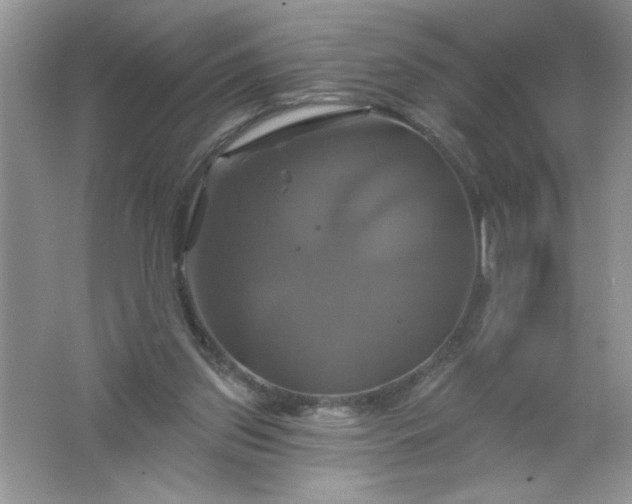 X0000061750157200512161726