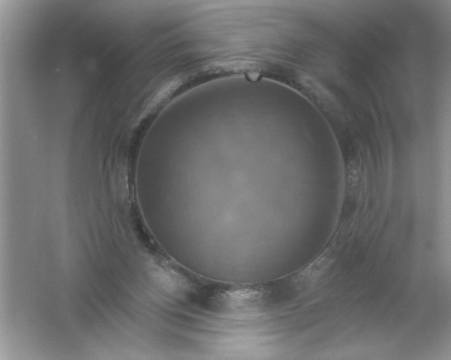 X0000061750158200512161726