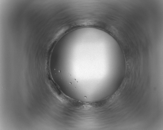 X0000061750159200512161726