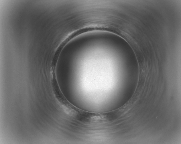 X0000061750160200512161726