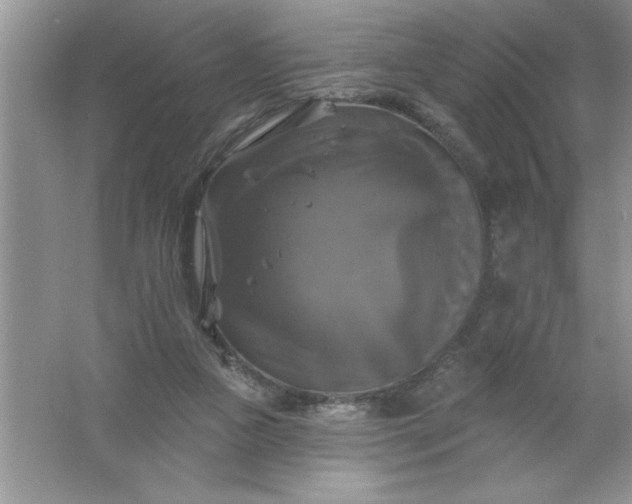 X0000061750161200512161726