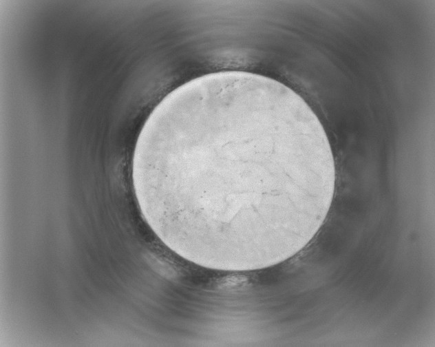 X0000061750162200512161726