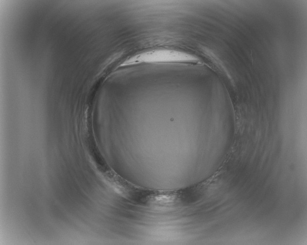 X0000061750163200512161726