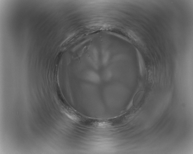 X0000061750165200512161726