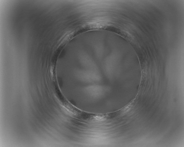 X0000061750166200512161726