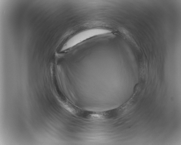 X0000061750167200512161726