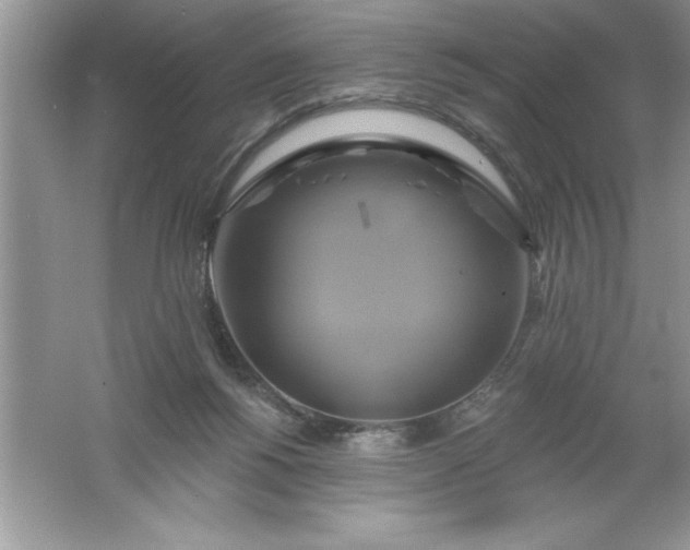 X0000061750168200512161726