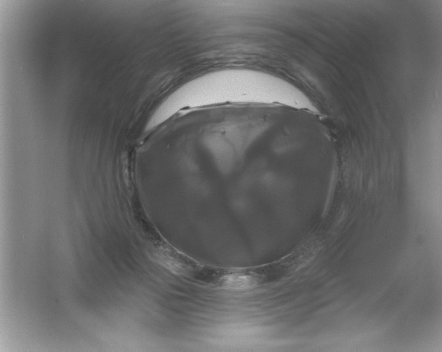 X0000061750169200512161726