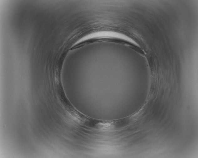 X0000061750170200512161726