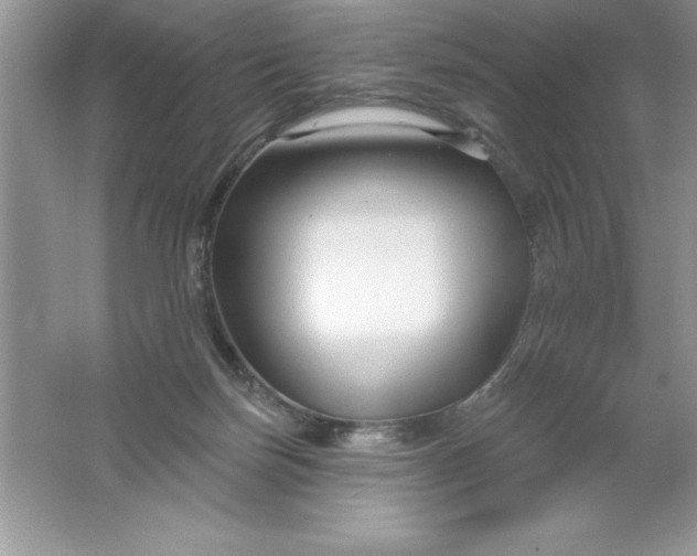 X0000061750171200512161726