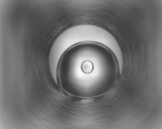 X0000061750172200512161726