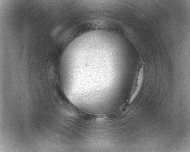 X0000061750173200512161726