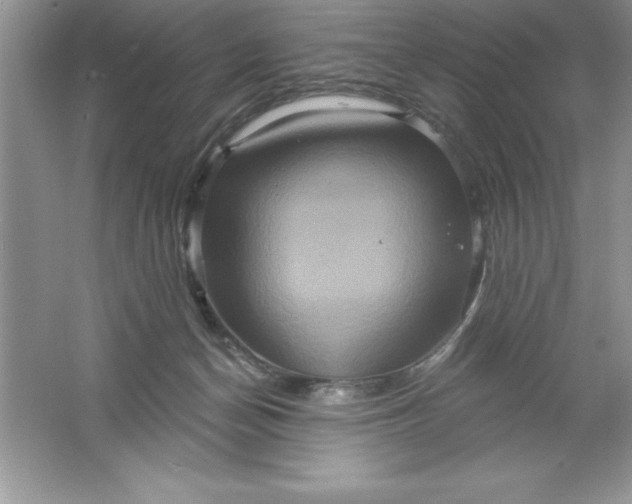 X0000061750174200512161726