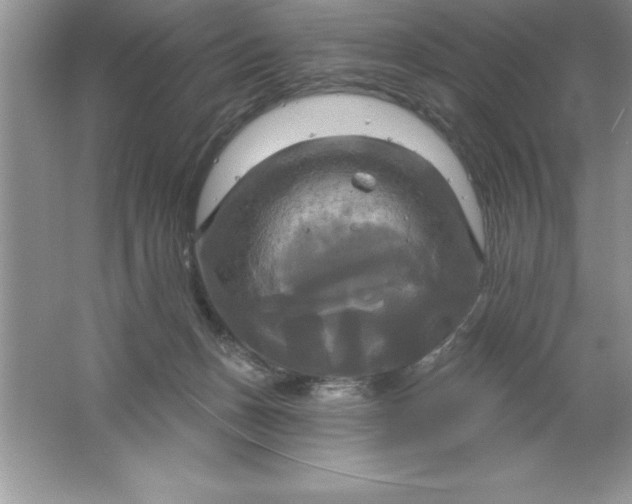 X0000061750175200512161726