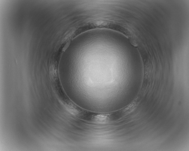 X0000061750176200512161726