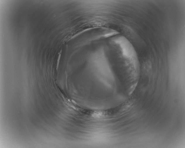 X0000061750177200512161726