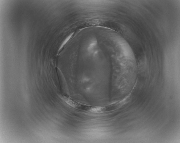 X0000061750178200512161726