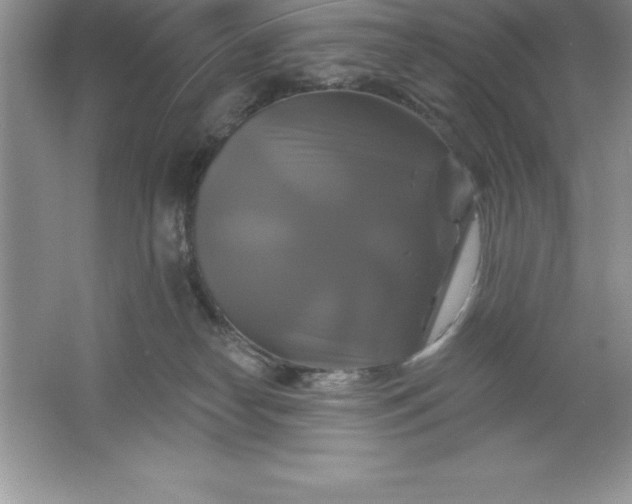 X0000061750182200512161726