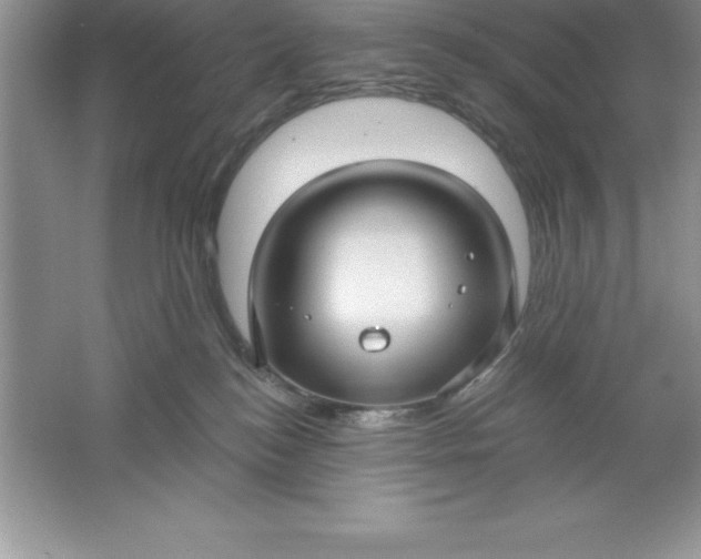 X0000061750184200512161726