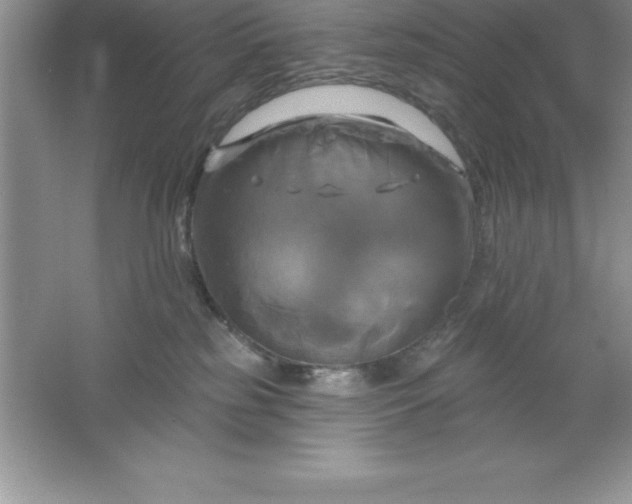 X0000061750185200512161726