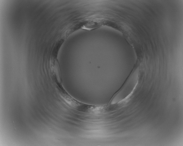 X0000061750186200512161726